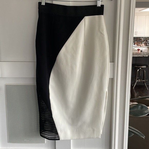 Milly Helix Mesh Skirt - Picture 9 of 15